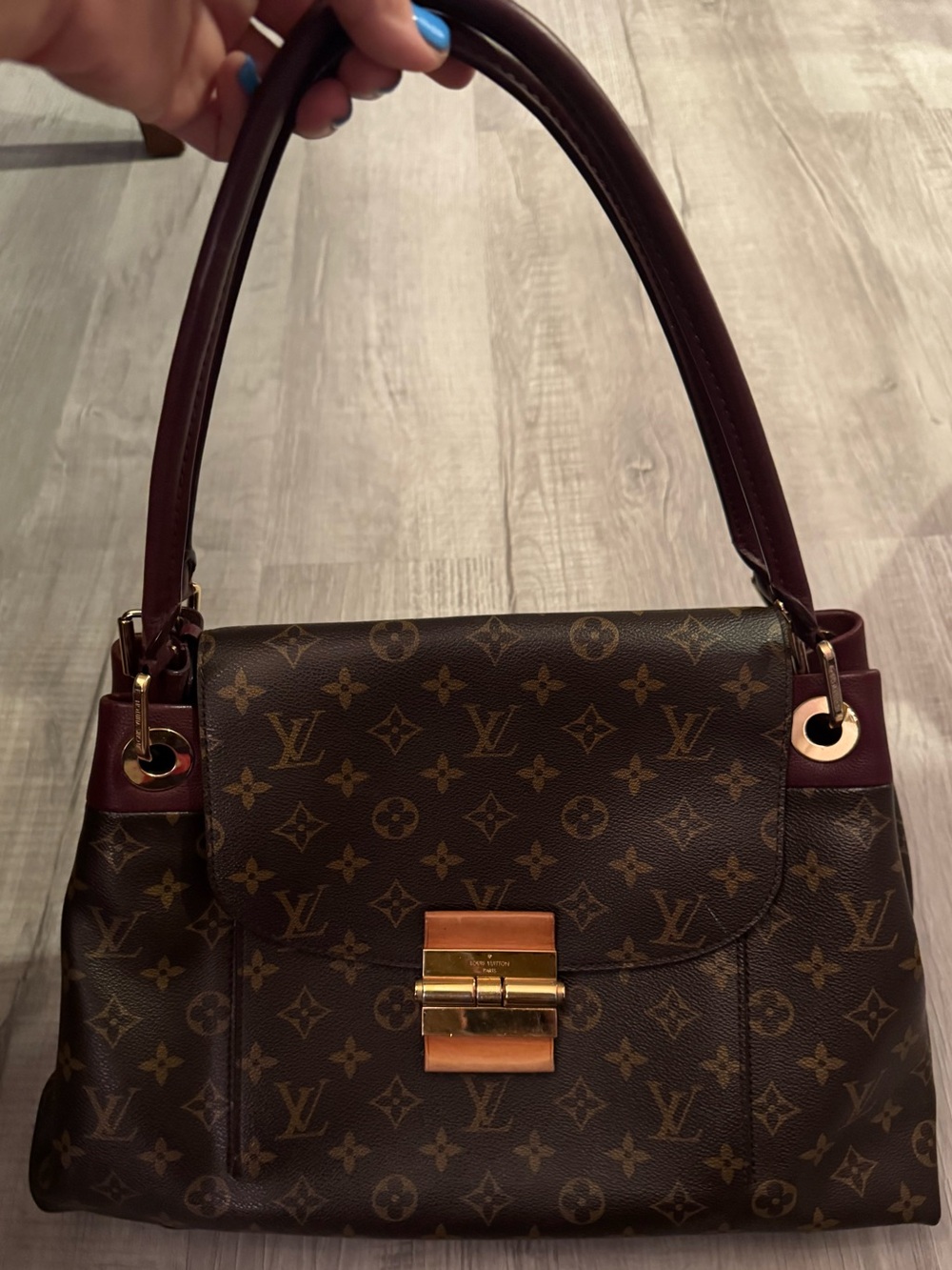 Louis Vuitton Monogram Olympe bag